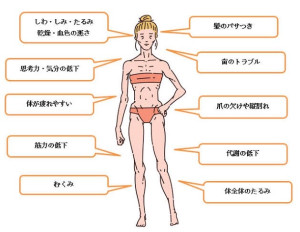 髪２