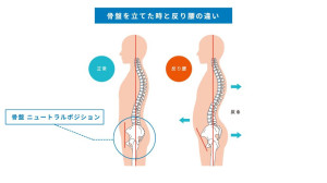 曲がらない４