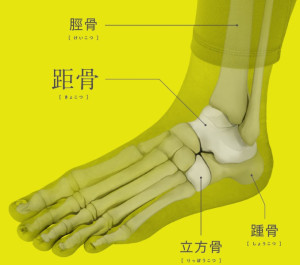 坐骨捻挫２